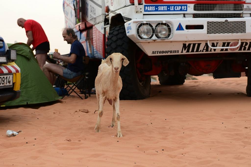 Po stopch Rallye Pa - Dakar