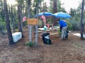 PCT in USA - 15