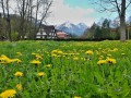 Jarn Beliansk Tatry - 1