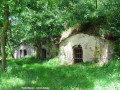 Kolo a vno